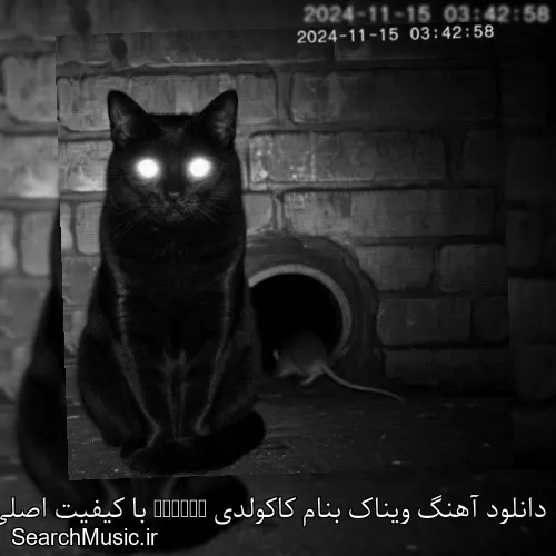 دانلود آهنگ ویناک بنام کاکولدی Cckldy با کیفیت اصلی و متن کامل