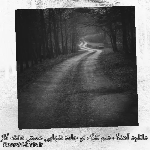 دانلود آهنگ دلم تنگ تو جاده تنهایی همش تخته گاز دلم بدجوری لنگ ترمزه
