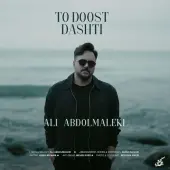 علی عبدالمالکی - تو دوست داشتی