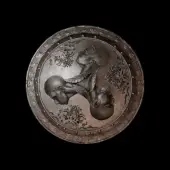 یاس و رضا پیشرو و تکناین - سپر 